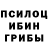 Галлюциногенные грибы Cubensis Alicia Kompositor