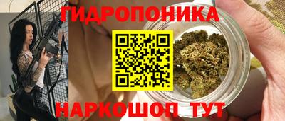 прущие крисы Волжский