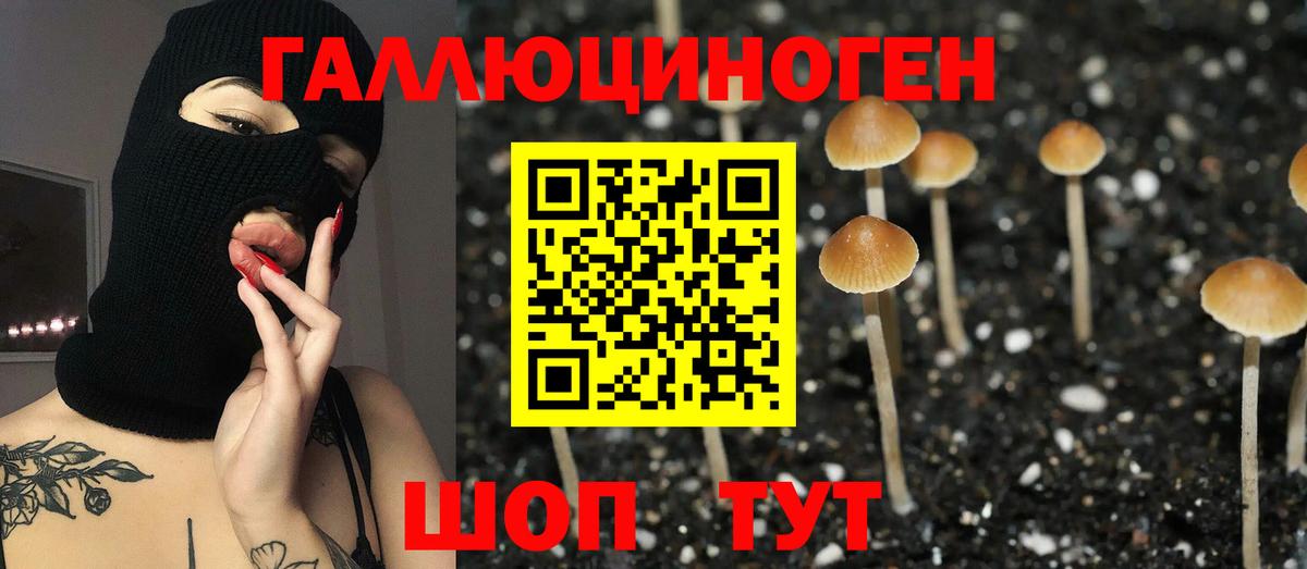 Псилоцибиновые грибы Psilocybine cubensis  Псилоцибиновые грибы Psilocybine cubensis  Воркута 