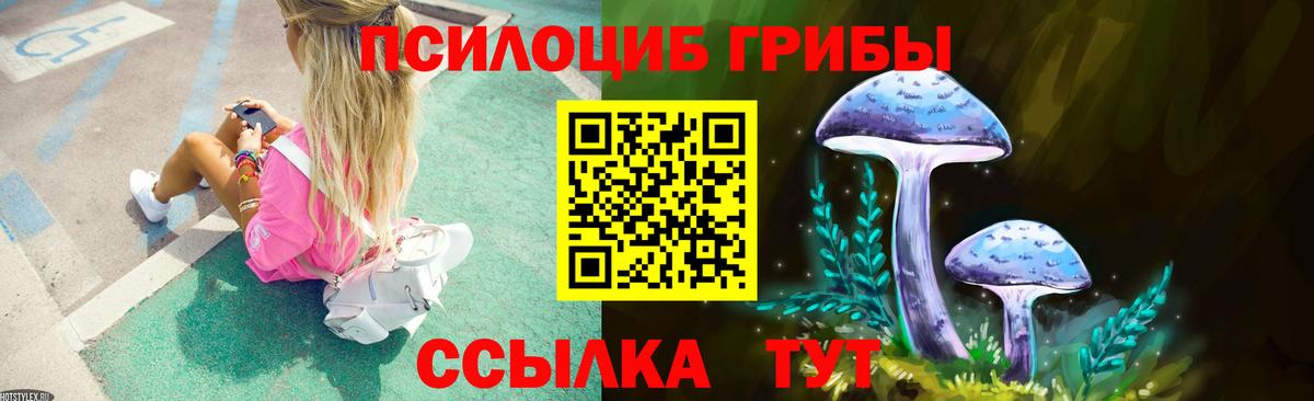 Воркута  Псилоцибиновые грибы Psilocybine cubensis  Вход с VPN 