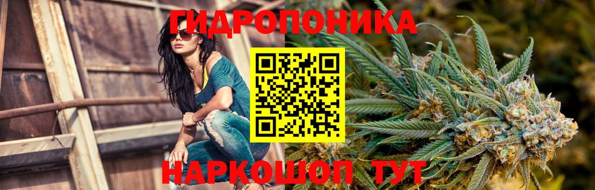 Бошки марихуана MAZAR Воркута